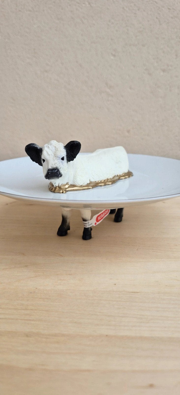 Schleich galloway koe - Beest en Bord, Ophalen of Verzenden, Nieuw