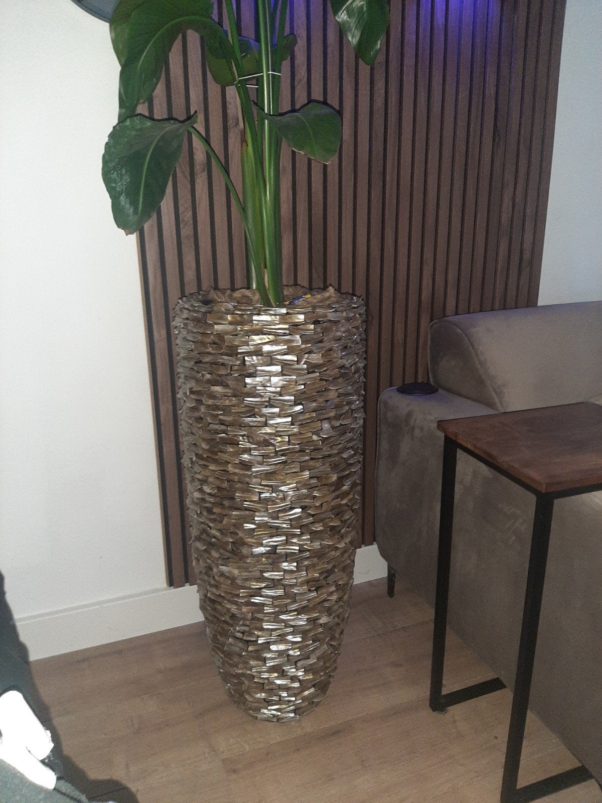 Eric kuster Schelpenvaas, Schelpenbak, bloempot. incl plant, Ophalen, Nieuw