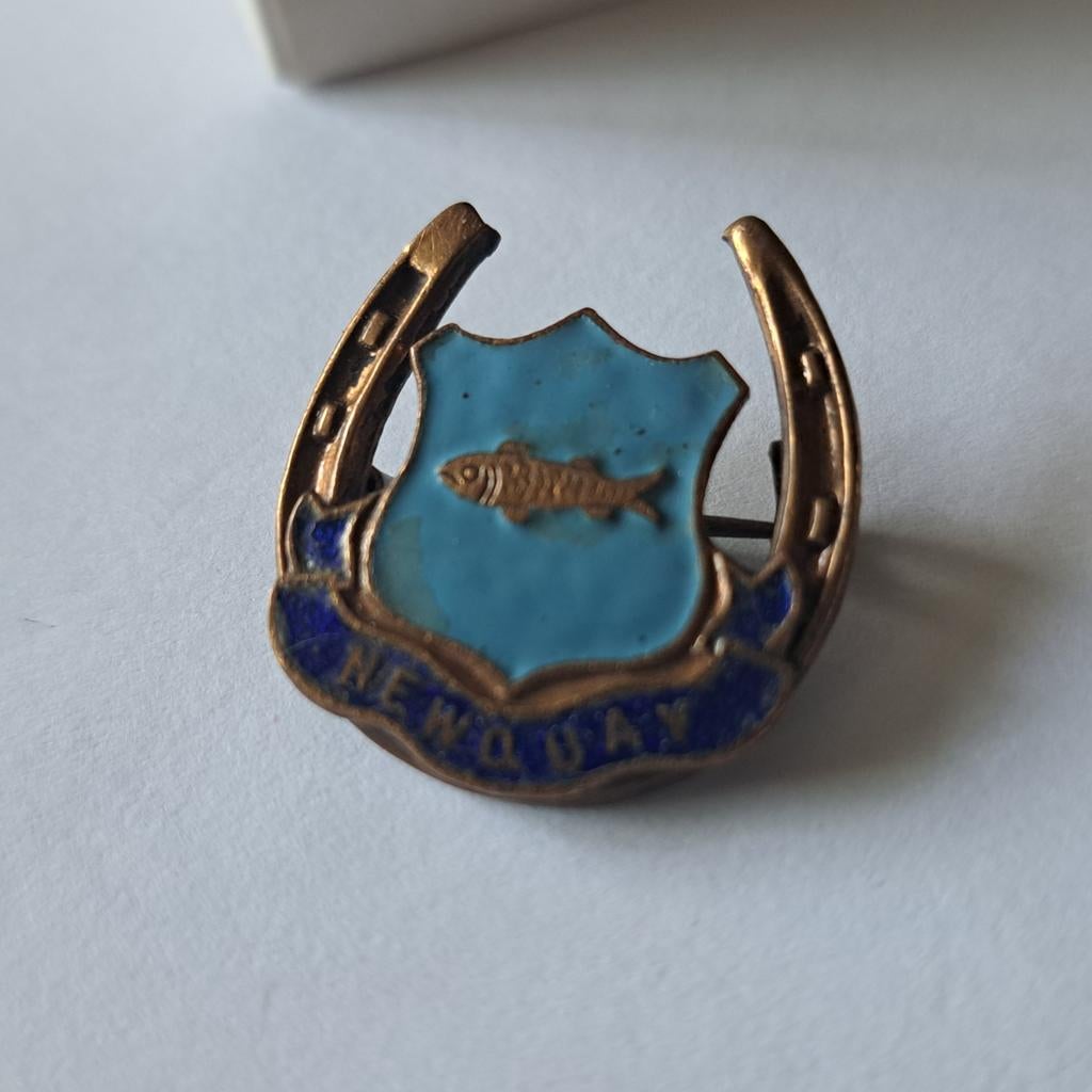 Antiek oude broche emaille inleg hoefijzer met vis, Verzenden, Overige materialen, Broche