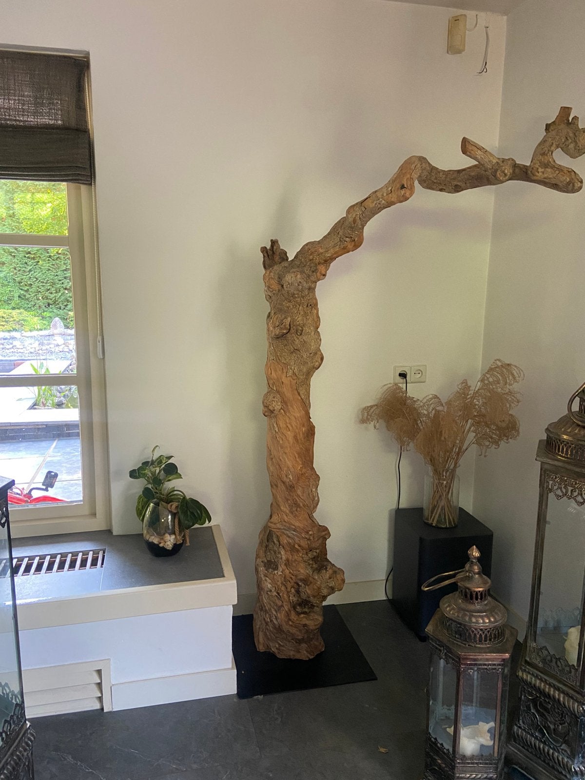 Oude olijfboom stam decoratie 192 cm, Ophalen