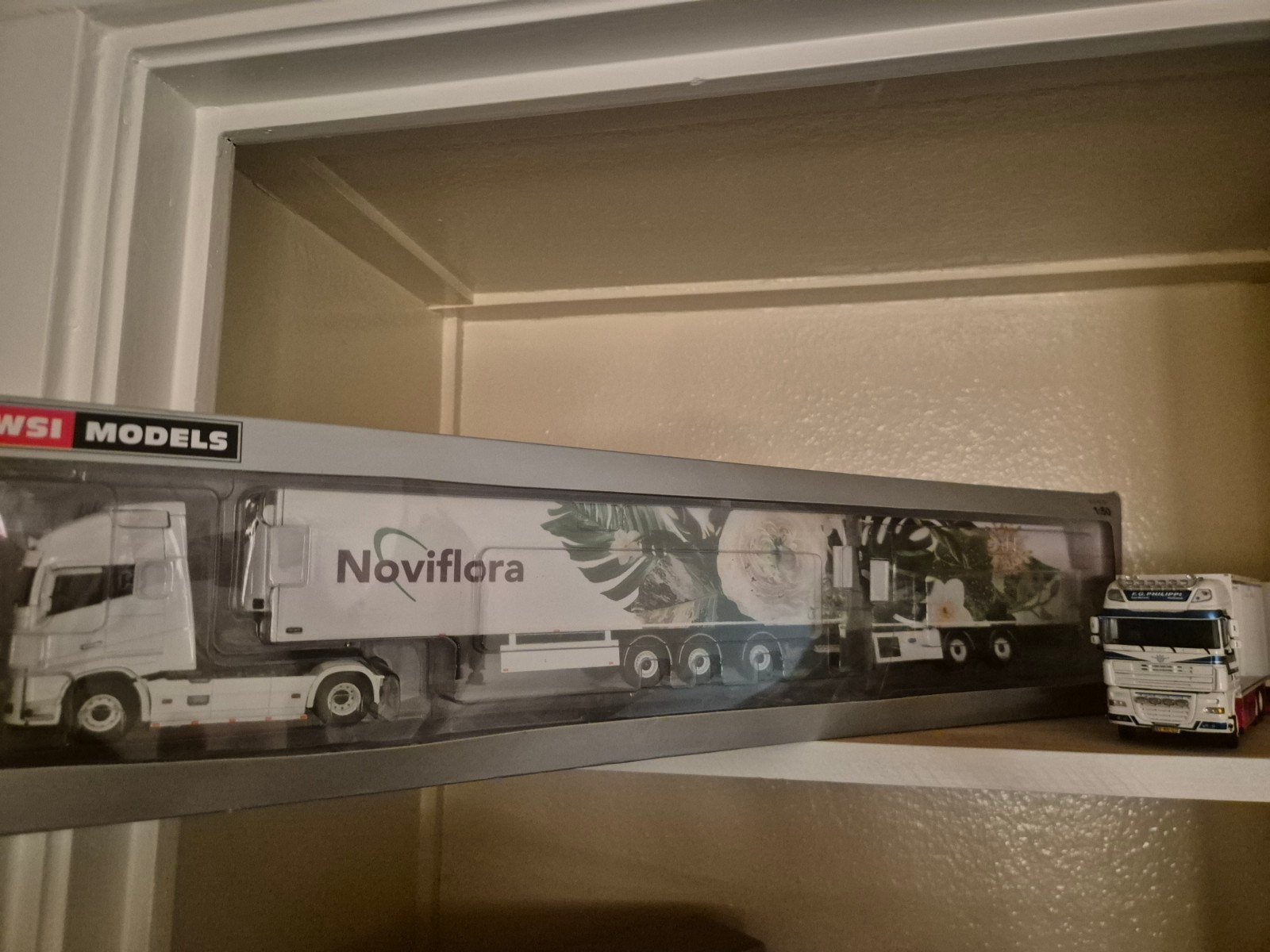 WSI Models jz transport Noviflora Volvo FH4, Overige merken, 1:32 tot 1:50, Nieuw, Ophalen of Verzenden