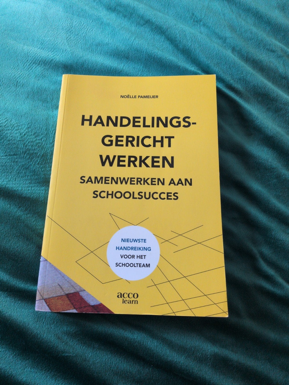 Pabo boek: Handelingsgericht Werken, Ophalen, Overige vakken, Noëlle Pameijer, Zo goed als nieuw