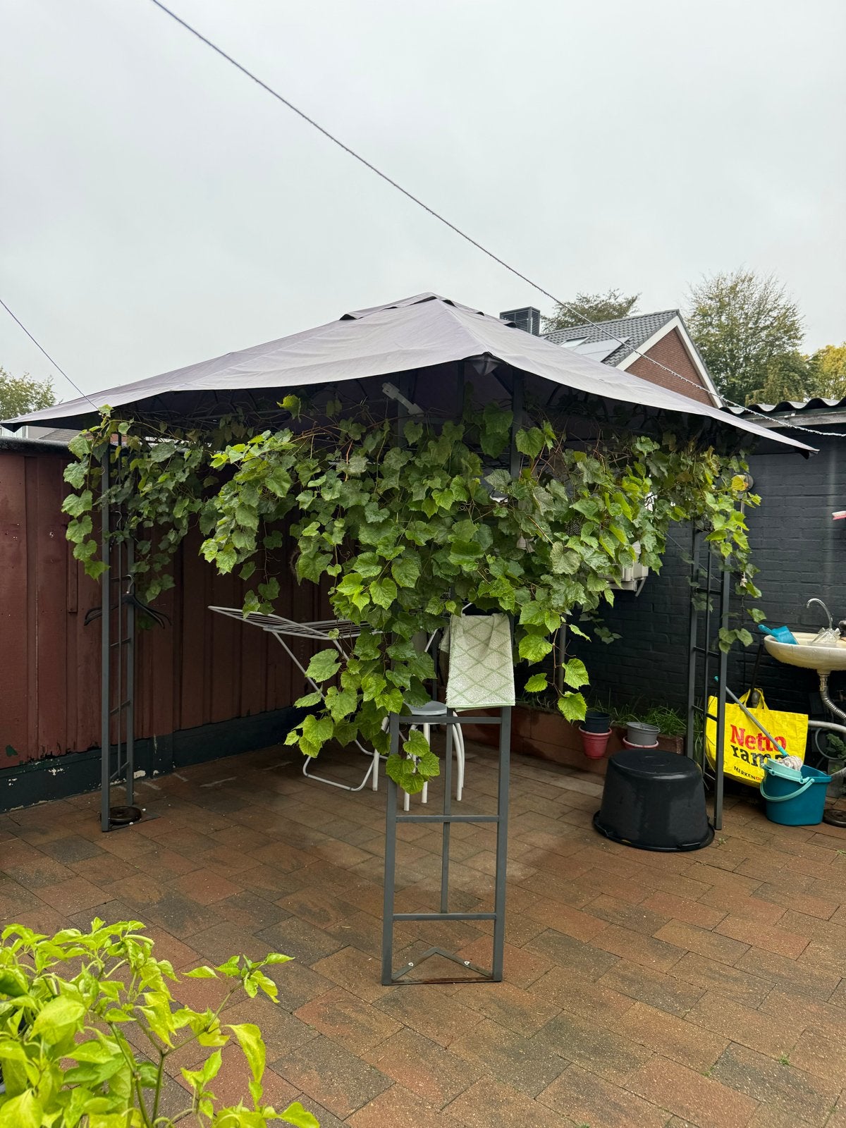 Tuintent, Tuin en Terras, Ophalen, Gebruikt, Minder dan 4 meter, Paviljoen