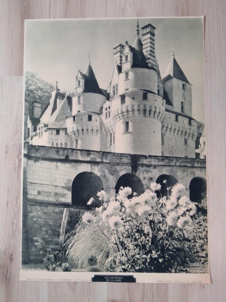 Vintage poster Les Chateaux de la Loire, Ophalen of Verzenden, A1 t/m A3, Reclame, Rechthoekig Staand