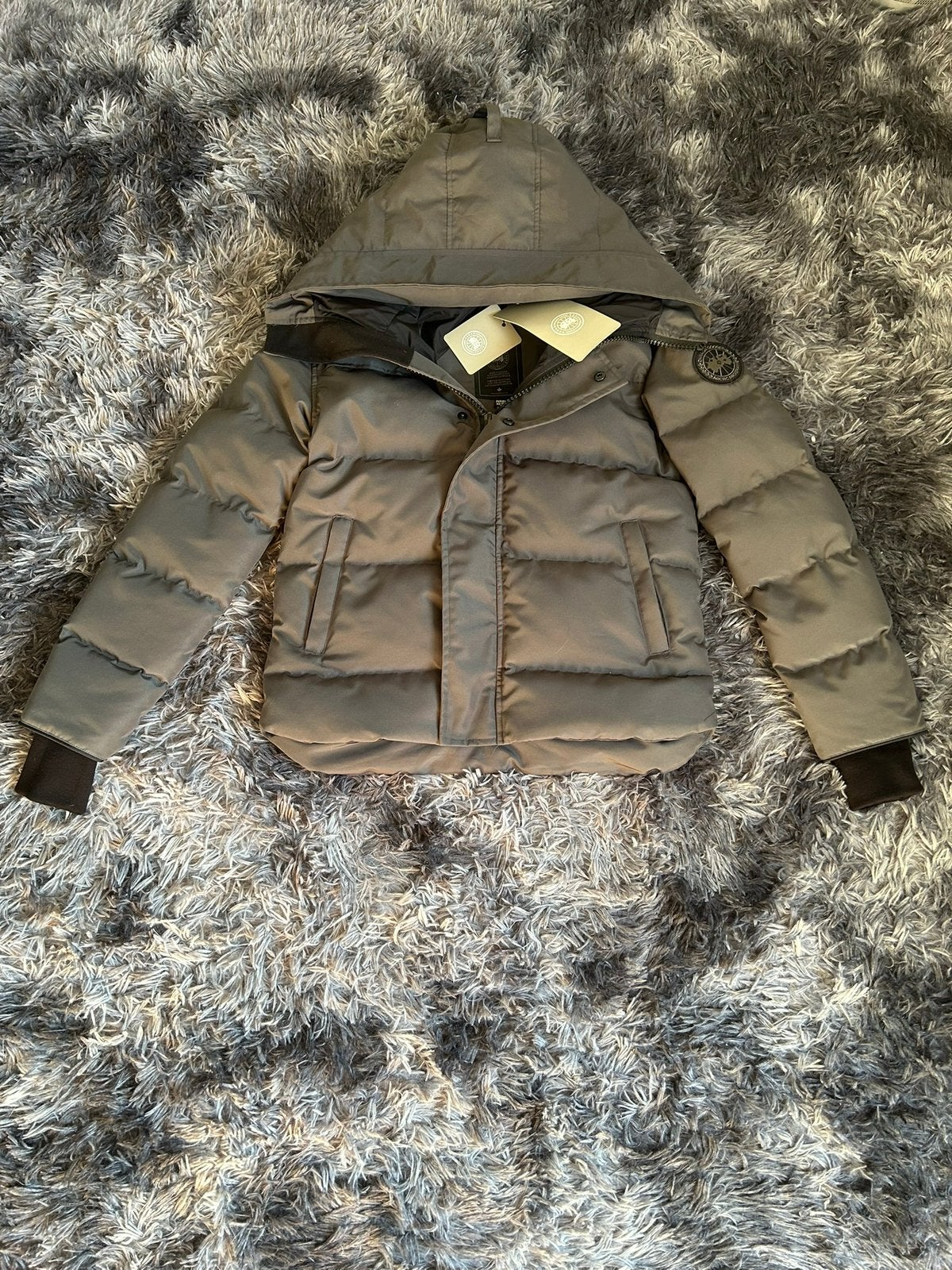 Canadagoose jas maat xs unisex, Ophalen of Verzenden, Nieuw, Maat 46 (S) of kleiner, Grijs