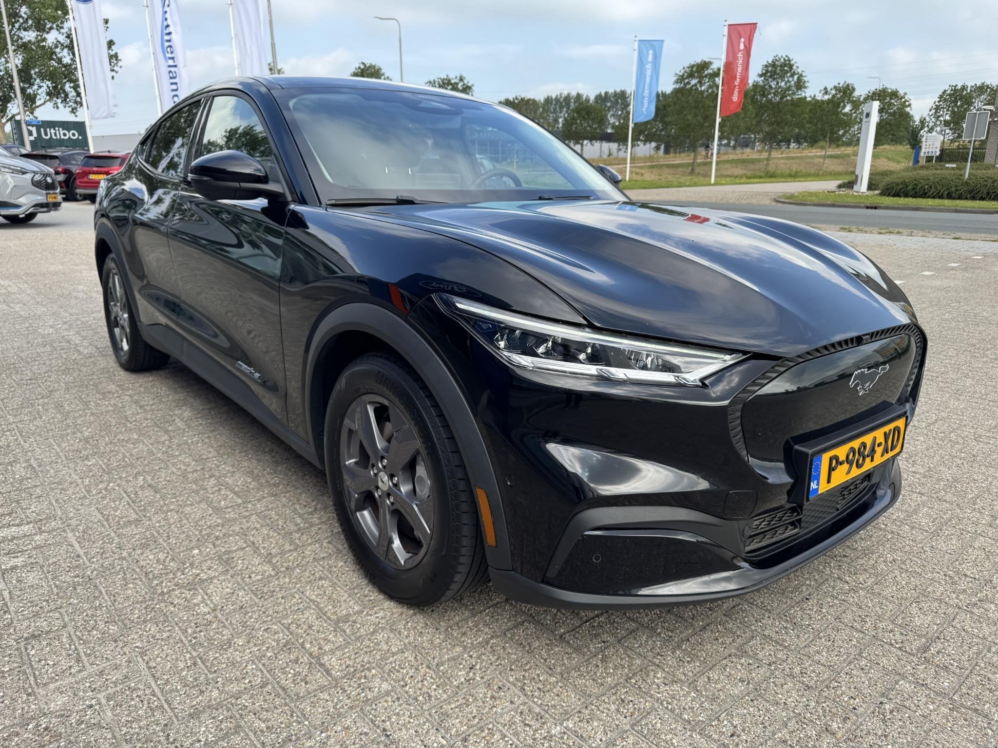 Foto 10 van Ford Mustang Mach-E Extended RWD 98 kWh 294pk | Technology P