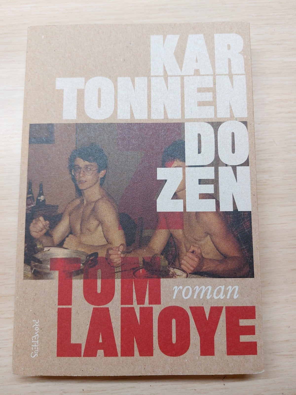 Tom Lanoye - Kartonnen dozen, Tom Lanoye, Ophalen of Verzenden, Zo goed als nieuw, Nederland