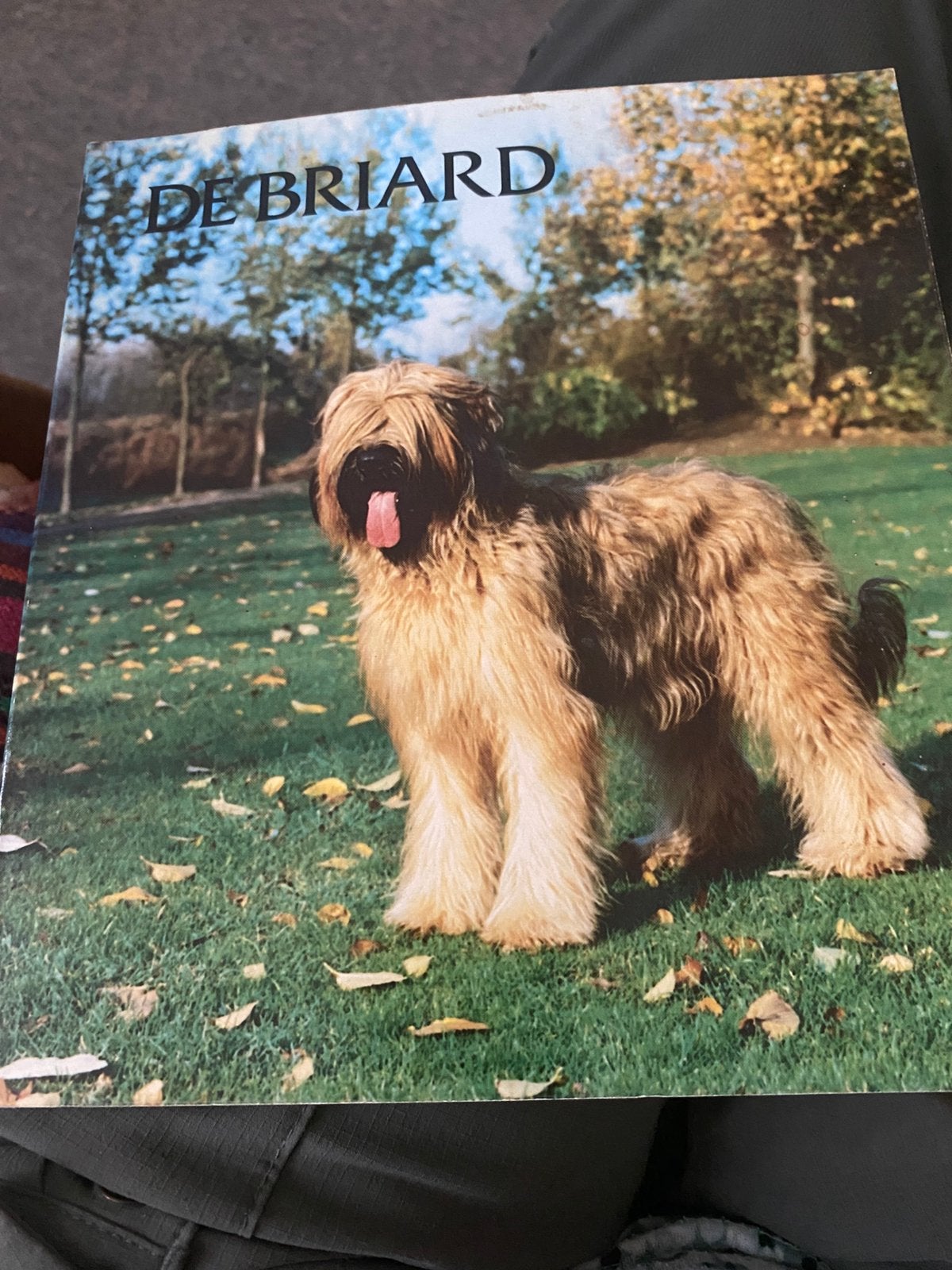 Boek De Briard, Ophalen of Verzenden, Zo goed als nieuw