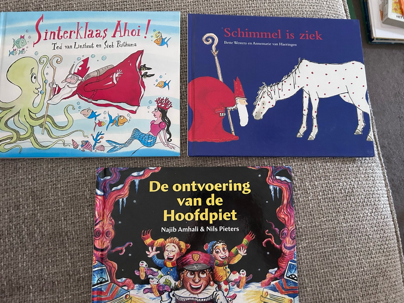 Sinterklaas Ahoi!, Schimmel is ziek ontvoering hoofdpiet, Ophalen of Verzenden, Zo goed als nieuw, Prentenboek