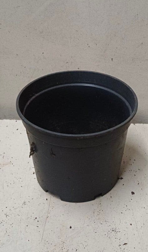 kweekpotten plantenpotten bloempotten 2 liter, Kunststof, Gebruikt, Minder dan 30 cm, Rond