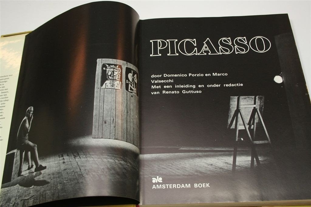Picasso — Leven & Meesterwerken Vintage Kunstboek 1974, Ophalen of Verzenden, Gelezen