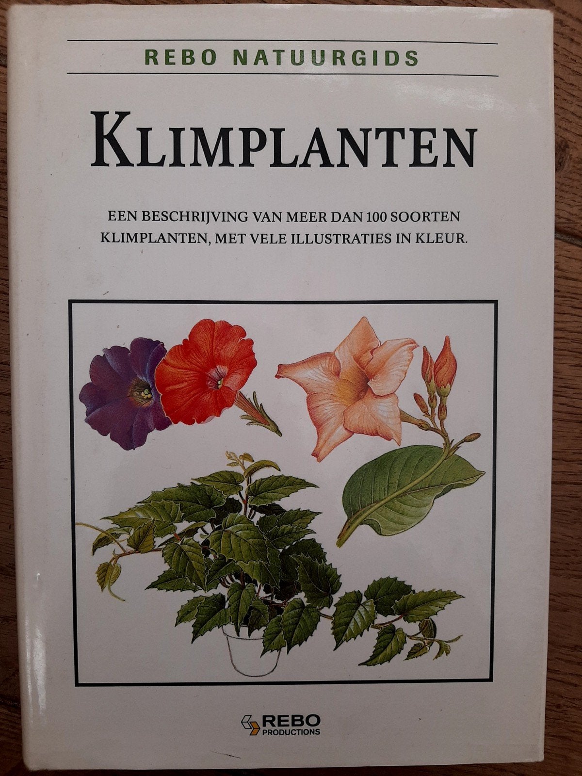 Rebo Natuurgids Klimplanten - Meer dan 100 soorten, Boeken, Ophalen of Verzenden, Zo goed als nieuw, Bloemen, Planten en Bomen
