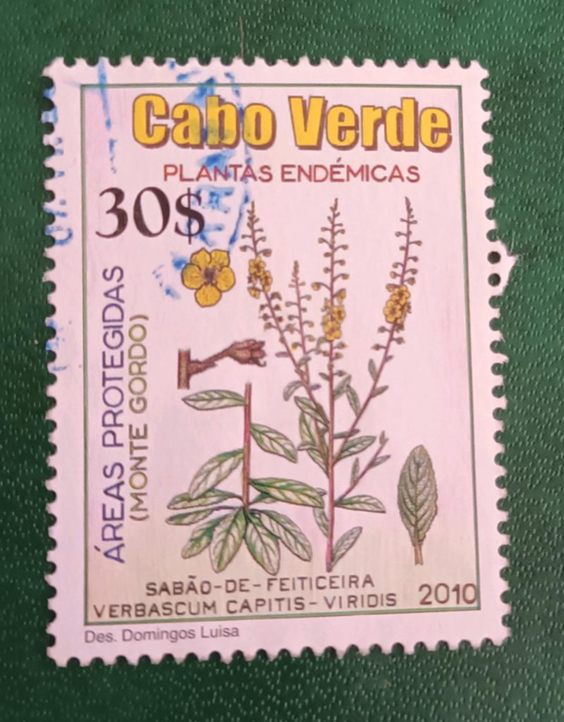 Cabo verdi 2010 pz flora, Verzenden, Overige landen, Gestempeld