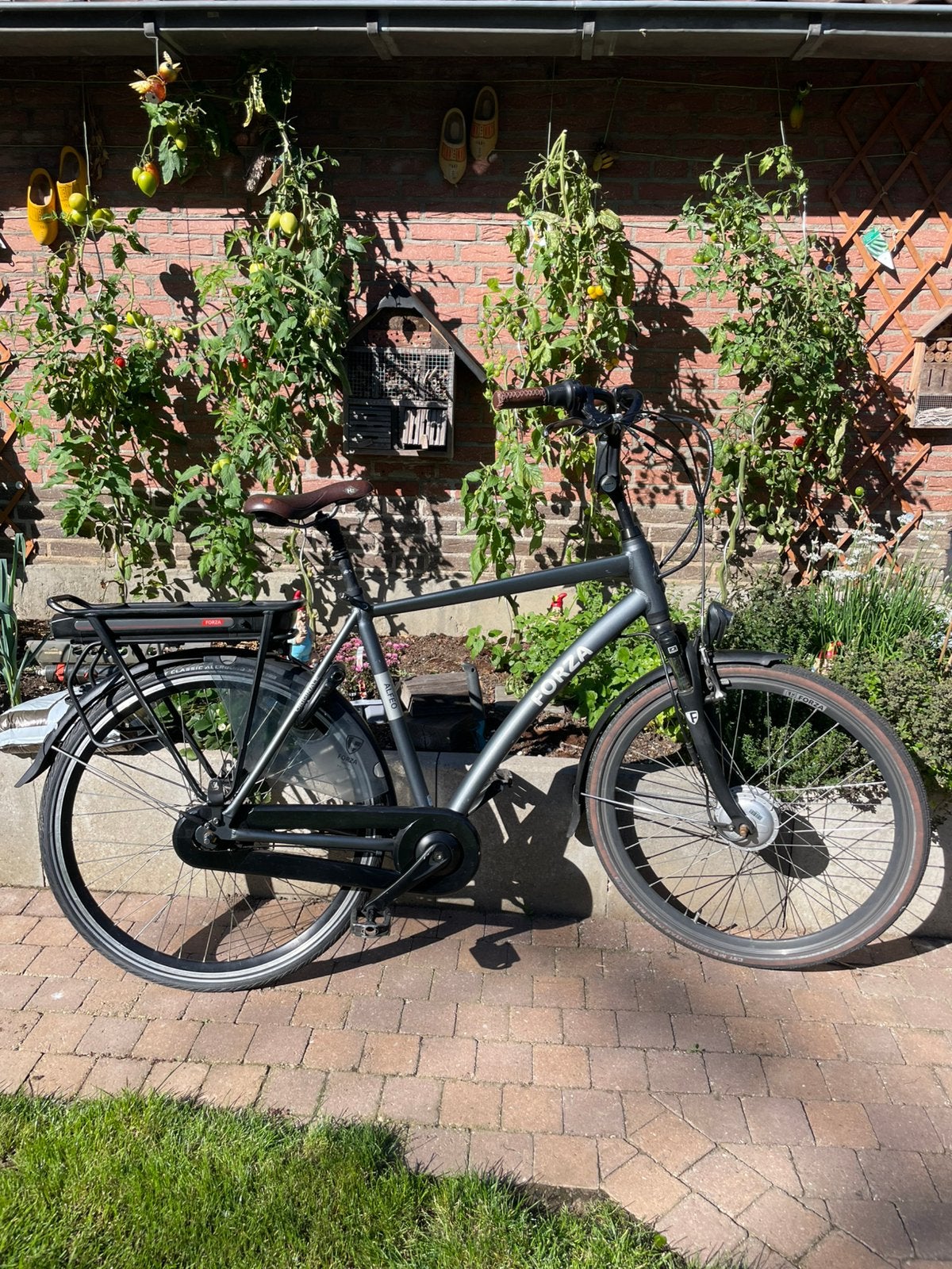 Forza Alfeo Elektrische Herenfiets E-bike | 7 versnellingen, 59 cm of meer, Ophalen, Zo goed als nieuw, Overige merken