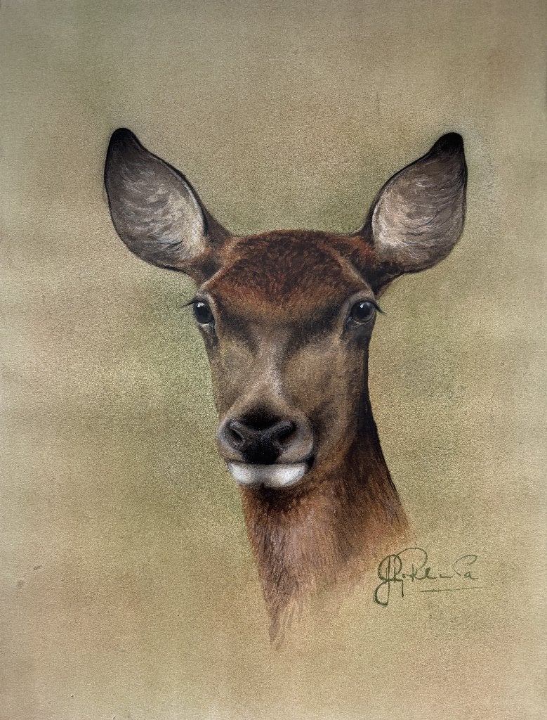 Jacques Planta (1929-2018) - Hertenkop, Ophalen of Verzenden, Schilderij, Aquarel, Handgemaakt