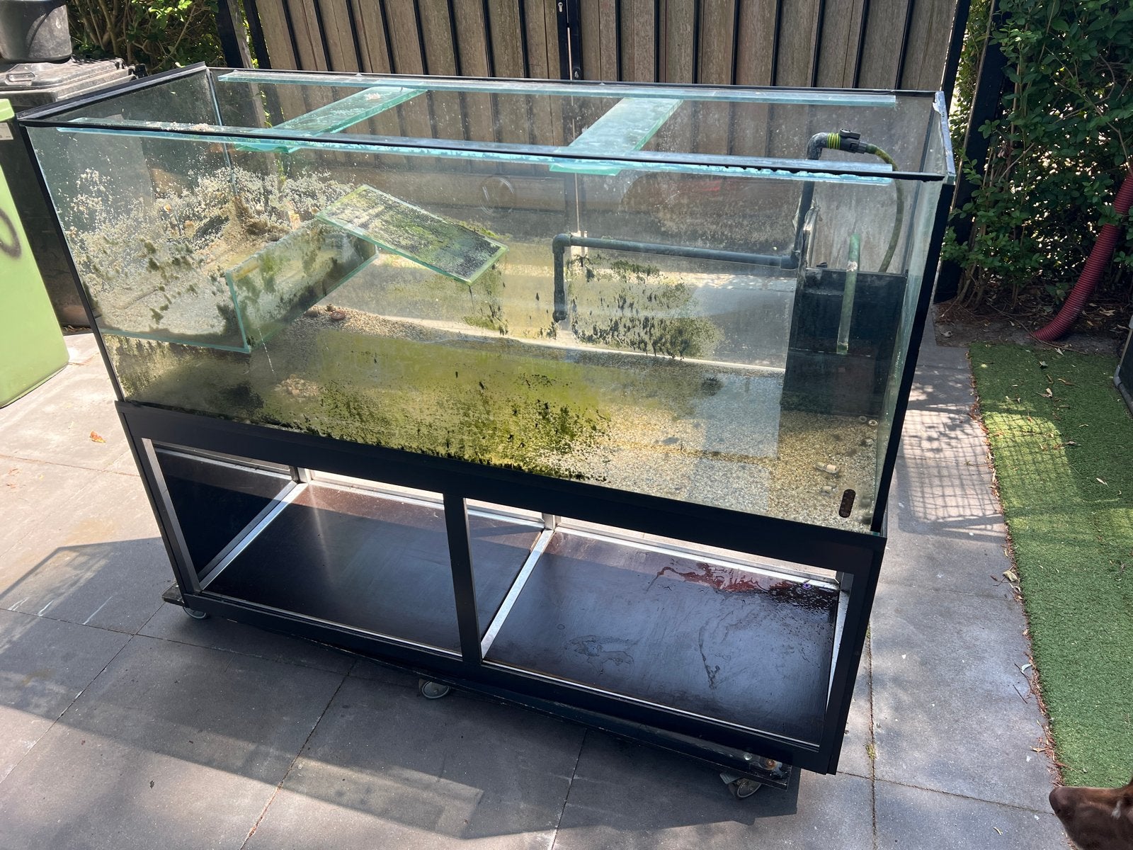 Gratis aquarium voor schildpad of vissen, Ophalen, Gebruikt, Leeg aquarium