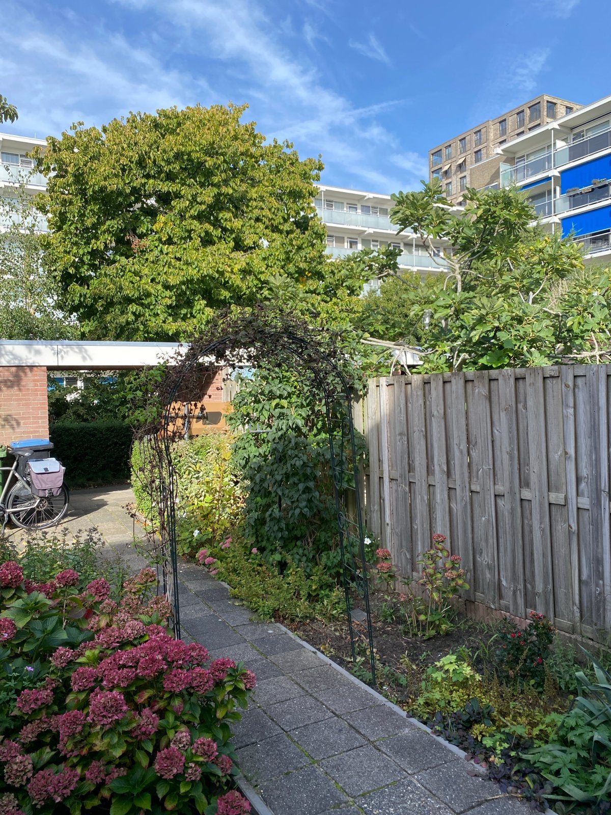 Rozenboog gratis ophalen, Tuin en Terras, Ophalen, Gebruikt