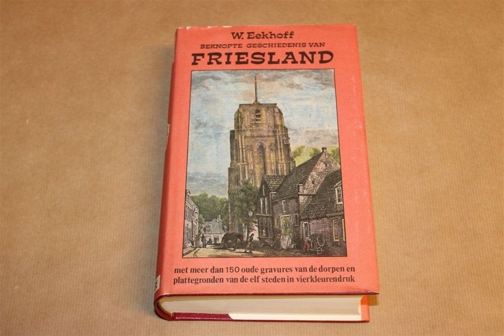 Geschiedenis van Friesland — Eekhoff, Facsimile 1851, Boeken, Ophalen of Verzenden, Gelezen