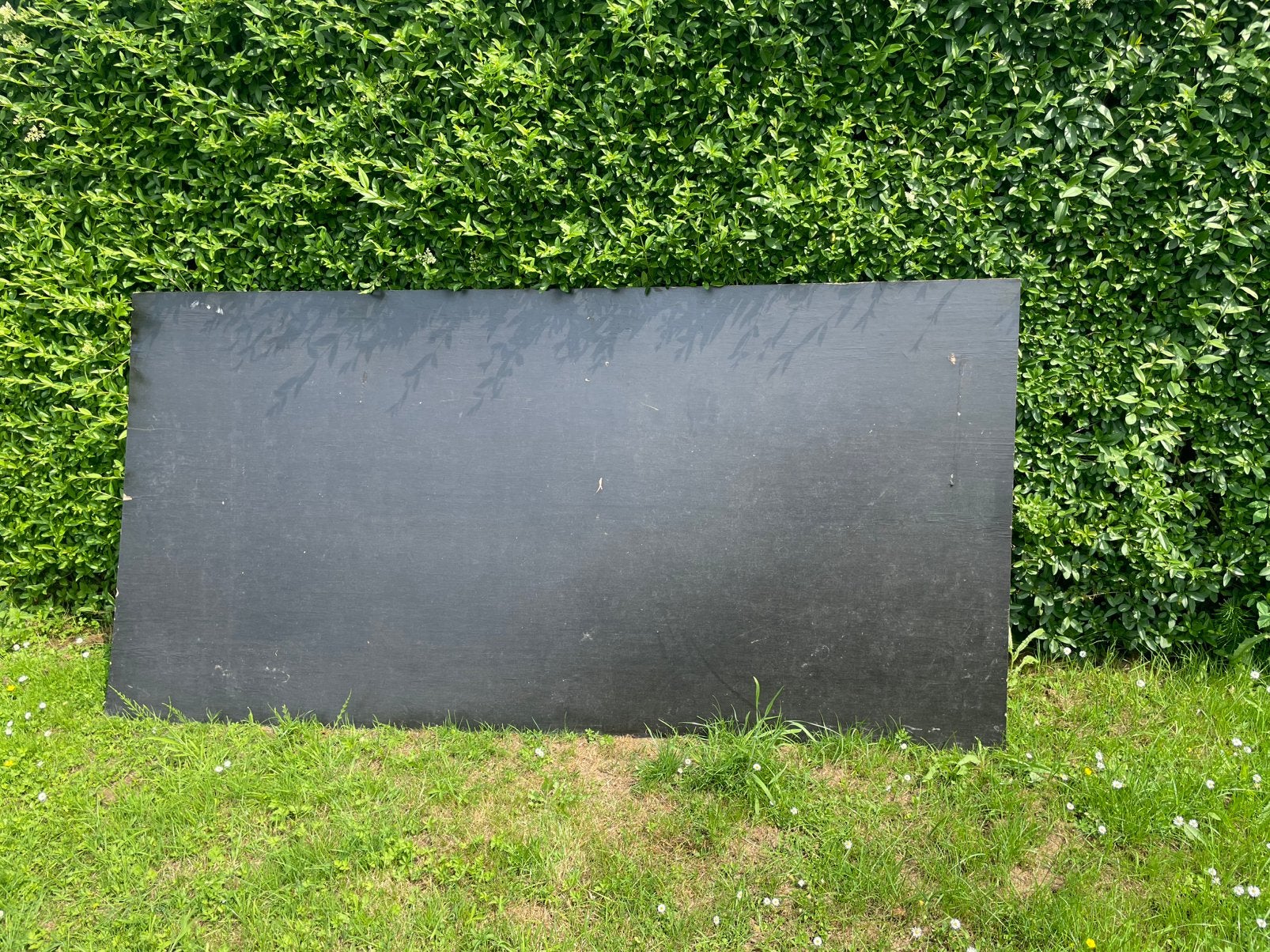 Mooie betonplex plaat 2500mm x 1250mm x 8mm, Ophalen, Zo goed als nieuw, Betonplex