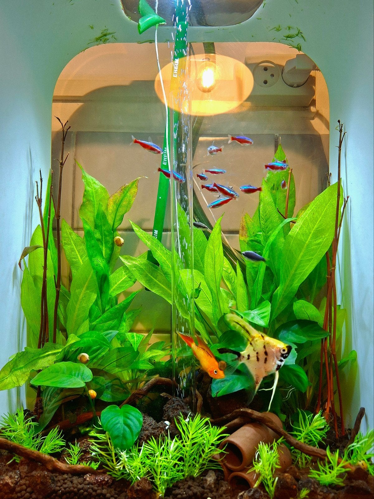 Biorb 60 liter met Eheim 250 buitenfilter + mega accessoires, Ophalen, Leeg aquarium