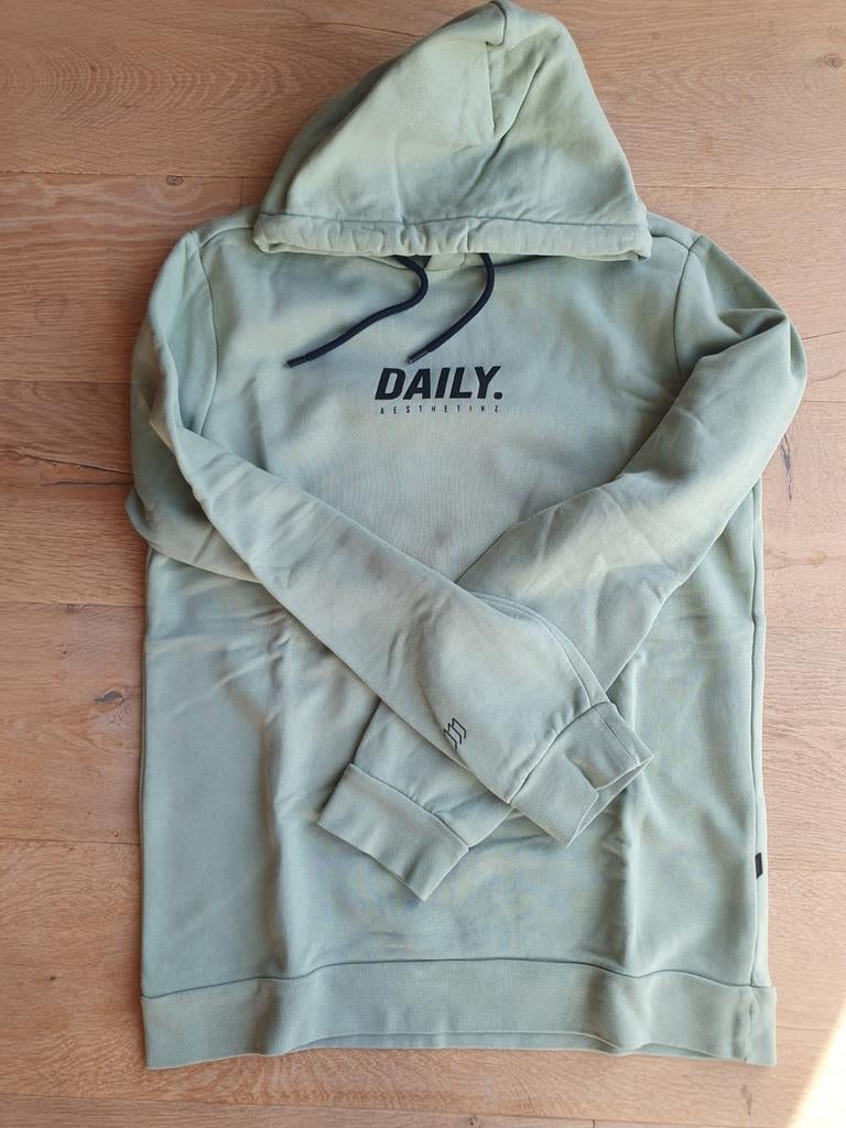 DAILY AESTHETIKZ trui. Maat S, Ophalen of Verzenden, Zo goed als nieuw, Grijs