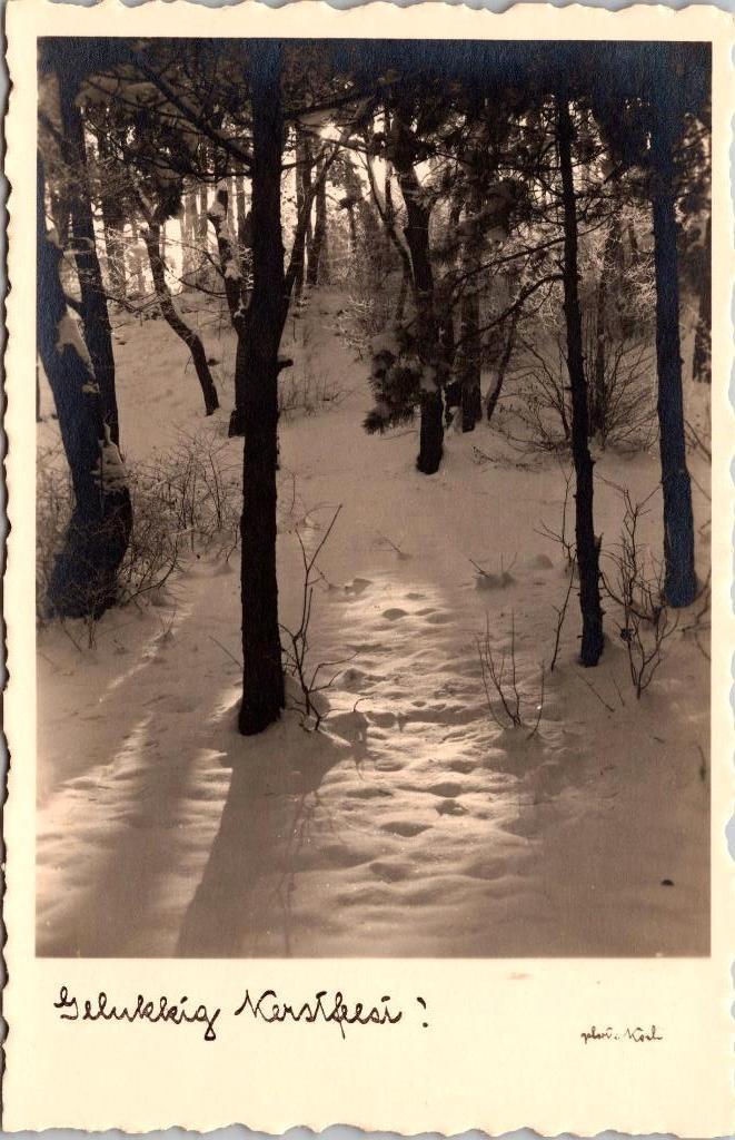 Gelukkig Kerstfeest - Antieke kerstkaart sneeuw I, Ophalen of Verzenden, 1920 tot 1940, Ongelopen, Feest(dag)