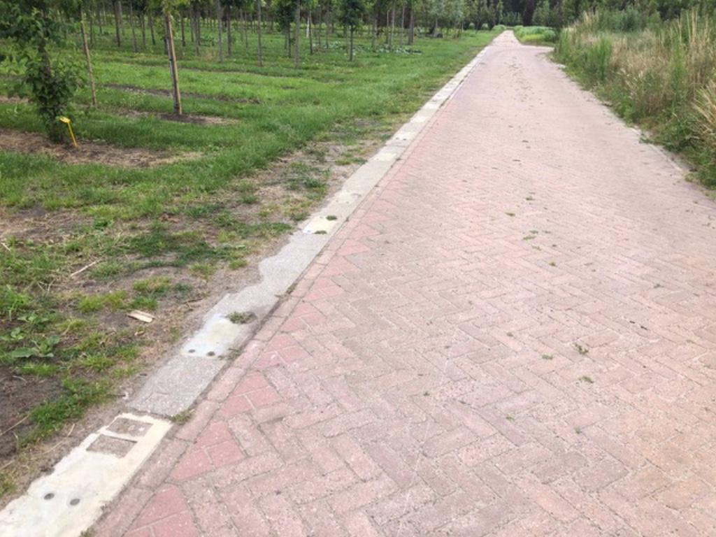 Spoorbielzen van beton - zwaar, sterk en direct leverbaar, Ophalen, Gebruikt, 250 cm of meer, Palen