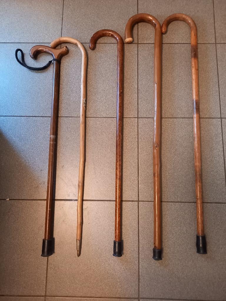 Set Wandelstokken, Ophalen of Verzenden, Gebruikt