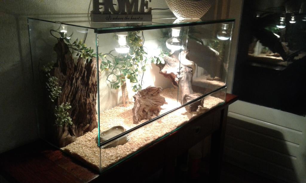 Terrarium 40*35*55 cm NIEUW, Dieren en Toebehoren, Reptielen en Amfibieën | Toebehoren, Nieuw, Terrarium of Paludarium, Ophalen