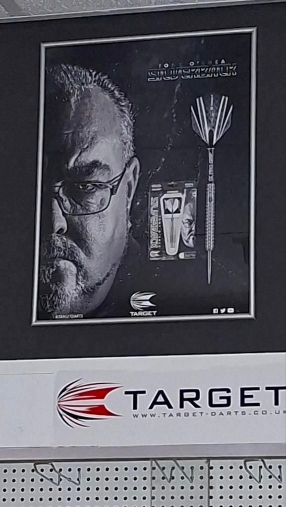 Silverback Tony O Shea Poster in Lijst, Ophalen of Verzenden