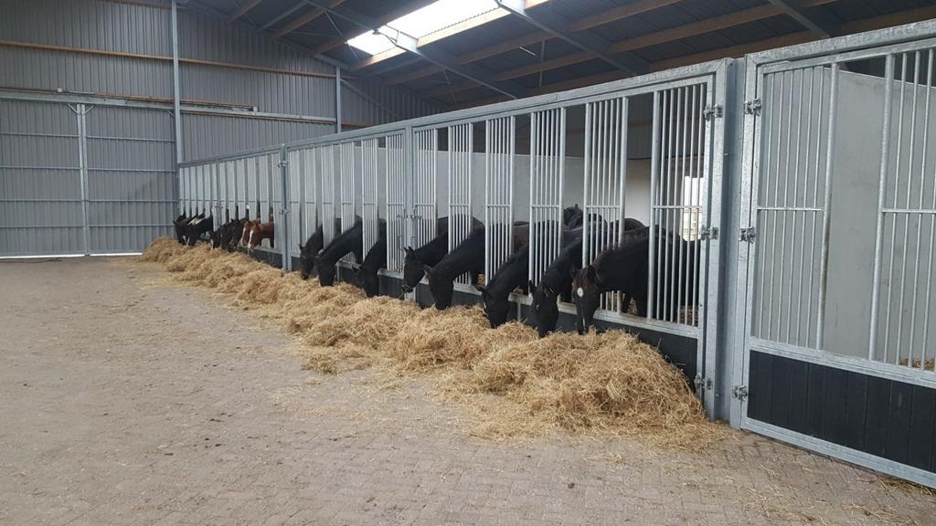 GOED EN DE GOEDKOOPSTE GROEPSHUISVESTIGING/ PAARDENBOXEN