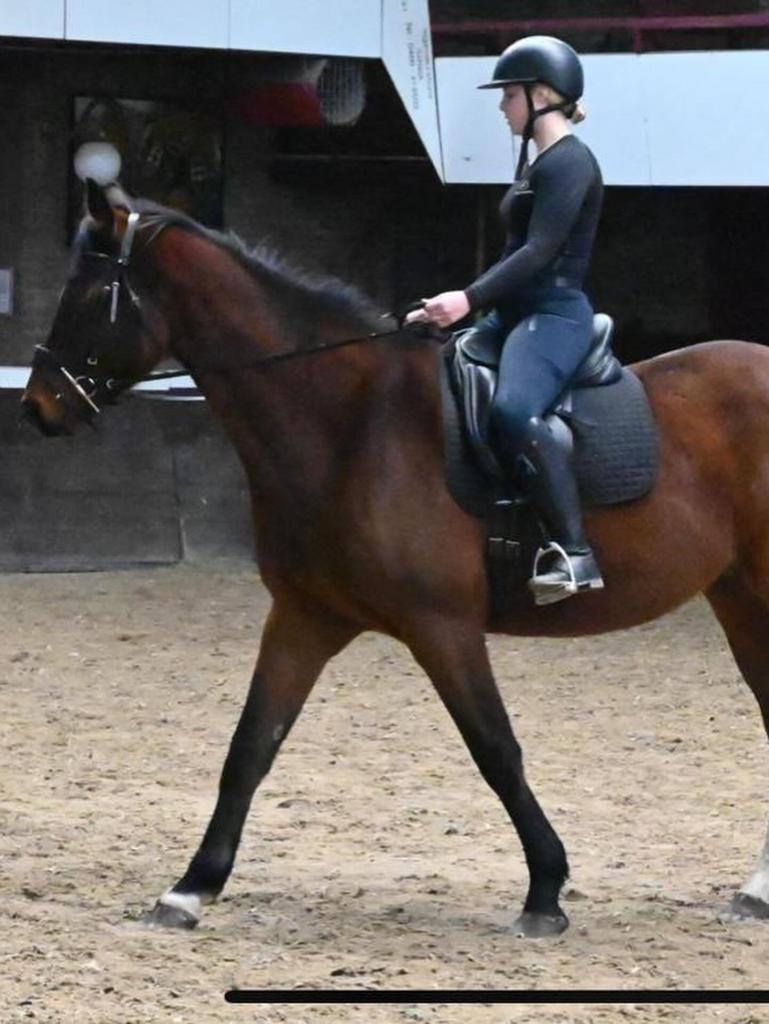Lease paard bijrijdpaard aangeboden leaser gezocht, Dieren en Toebehoren, Ophalen of Verzenden