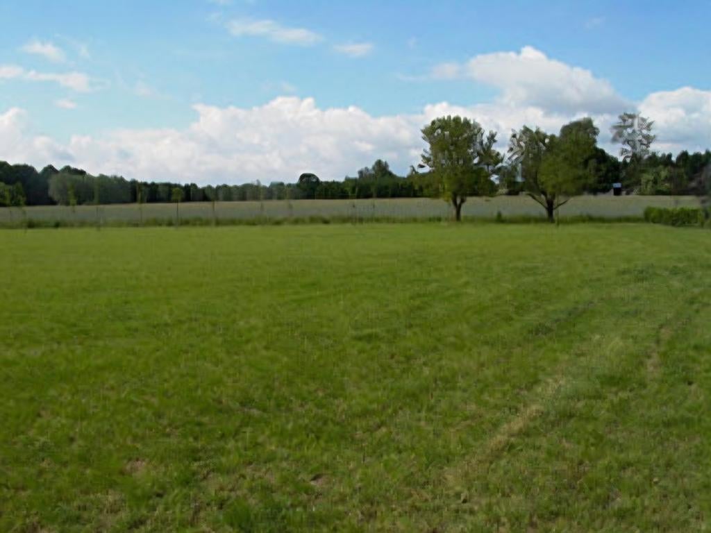 Weiland te huur gevraagd omgeving made/drimmelen, Dieren en Toebehoren