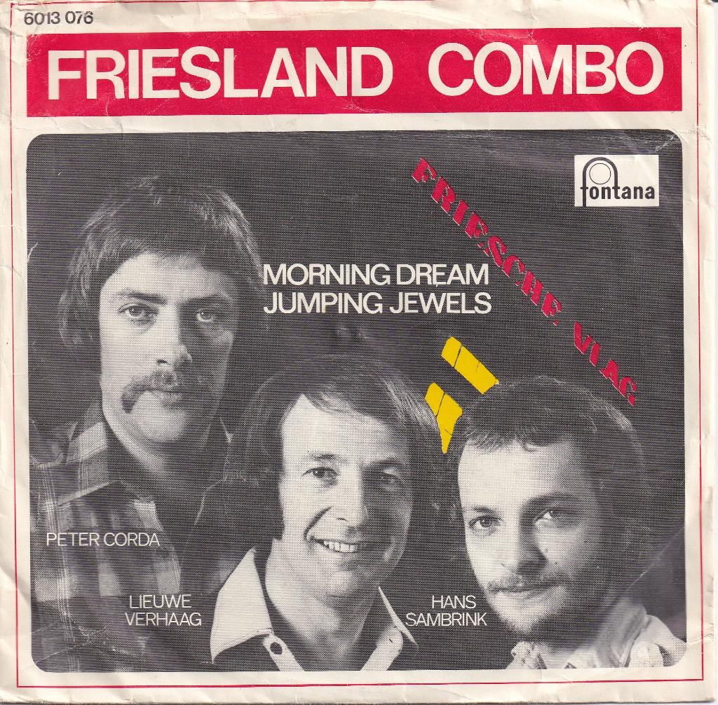 Friesland combo, Cd's en Dvd's, Vinyl Singles, Ophalen of Verzenden, Gebruikt, 7 inch, Single