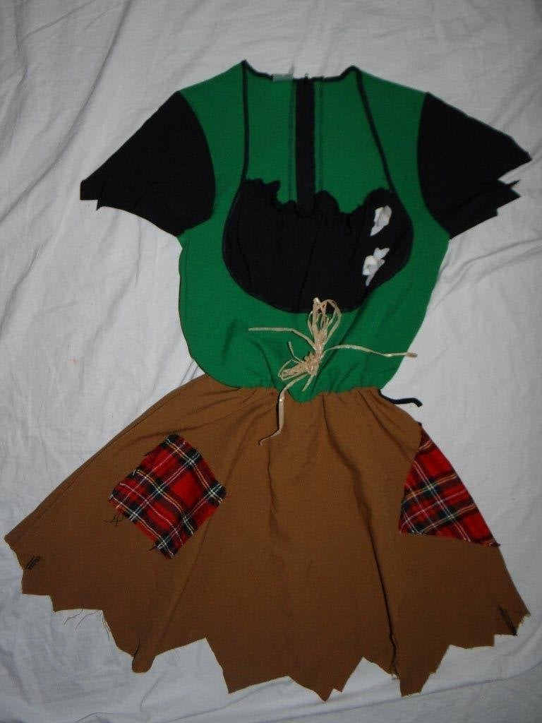 Leuk groen/zwart/bruin VOGELVERSCHRIKKER/WIZARD OZ jurk, Ophalen of Verzenden, Halloween, Kleding, Maat 36 (S)