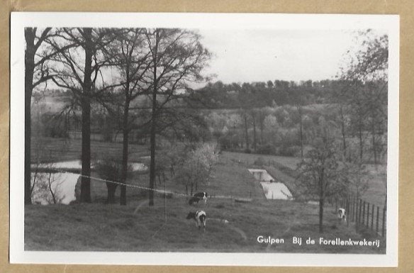 Oude Ansichtkaart Gulpen Bij de Forellenkwekerij, Ophalen of Verzenden, 1920 tot 1940, Ongelopen, Limburg