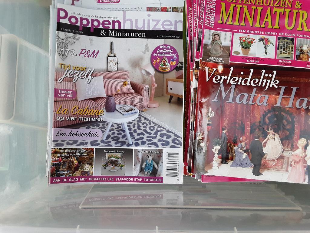 Poppenhuis miniaturen  bladen, Verzamelen, Poppenhuizen en Toebehoren, Ophalen, Zo goed als nieuw, Poppenhuis
