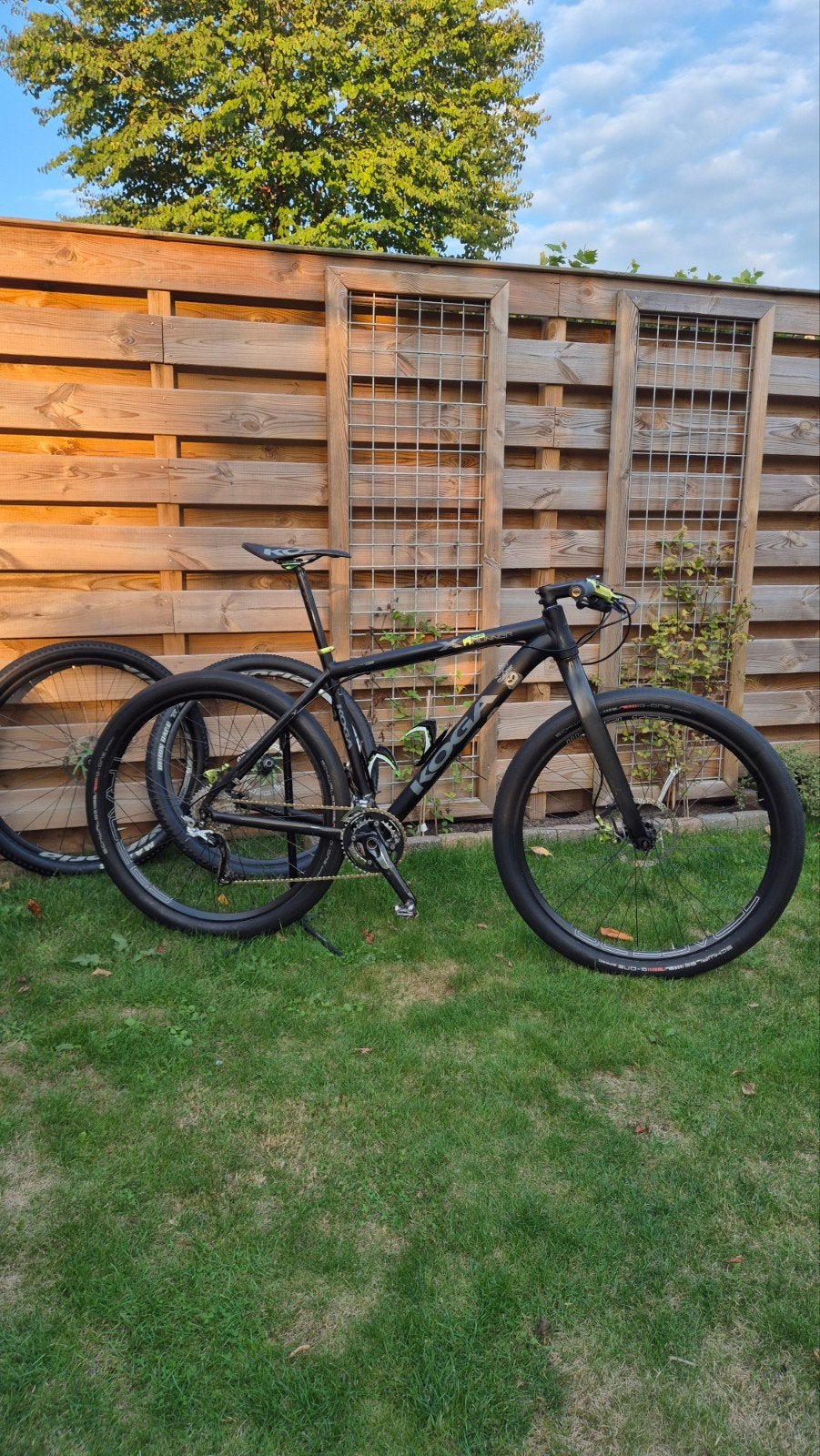 Koga Runner – Beach/Gravel/MTB, Gebruikt, Heren, 49 tot 53 cm, Ophalen