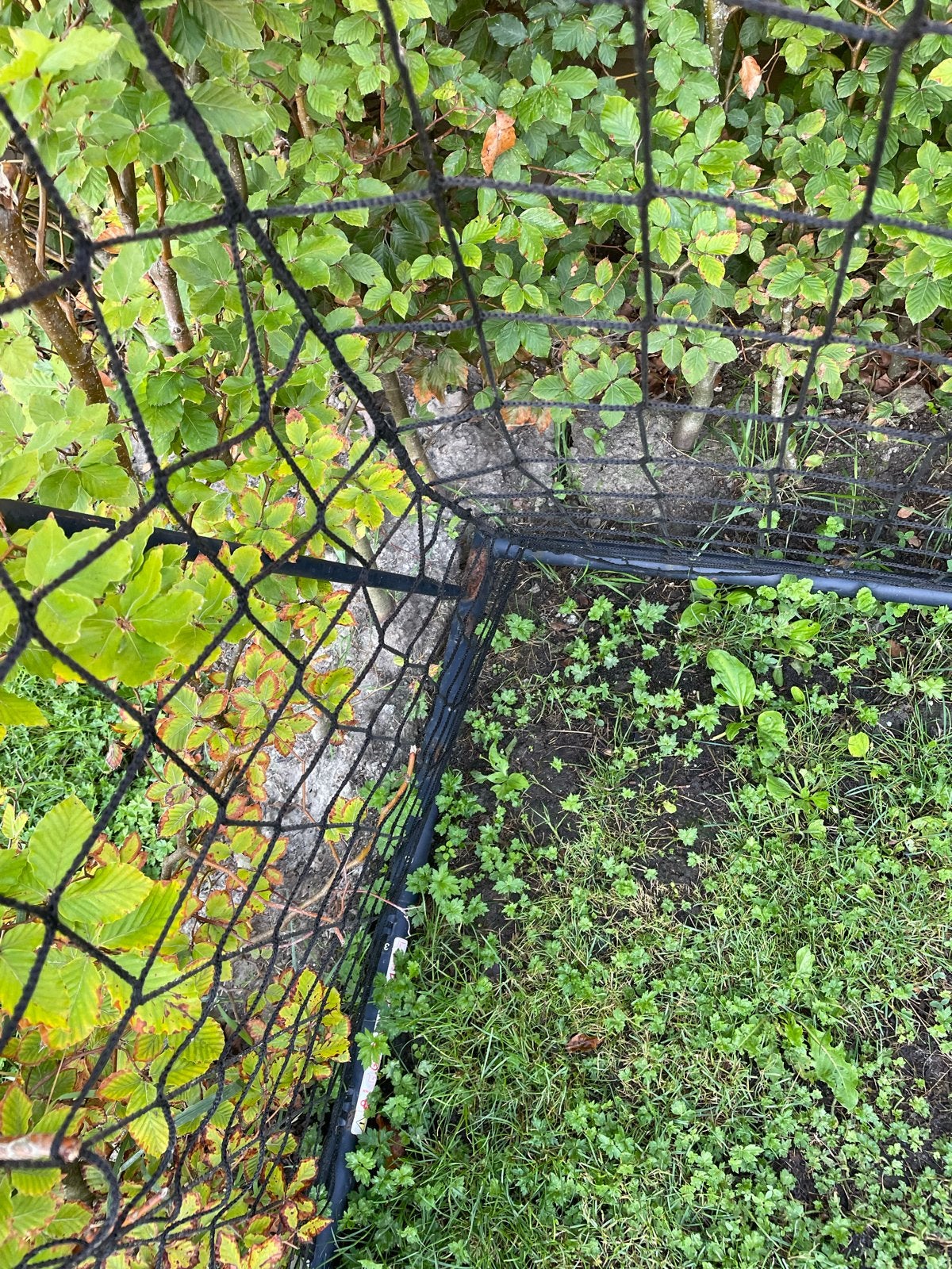 Kipsta voetbaldoel 310 cm breed - Perfect voor de tuin!, Maat XS of kleiner, Ophalen, Gebruikt, Overige typen