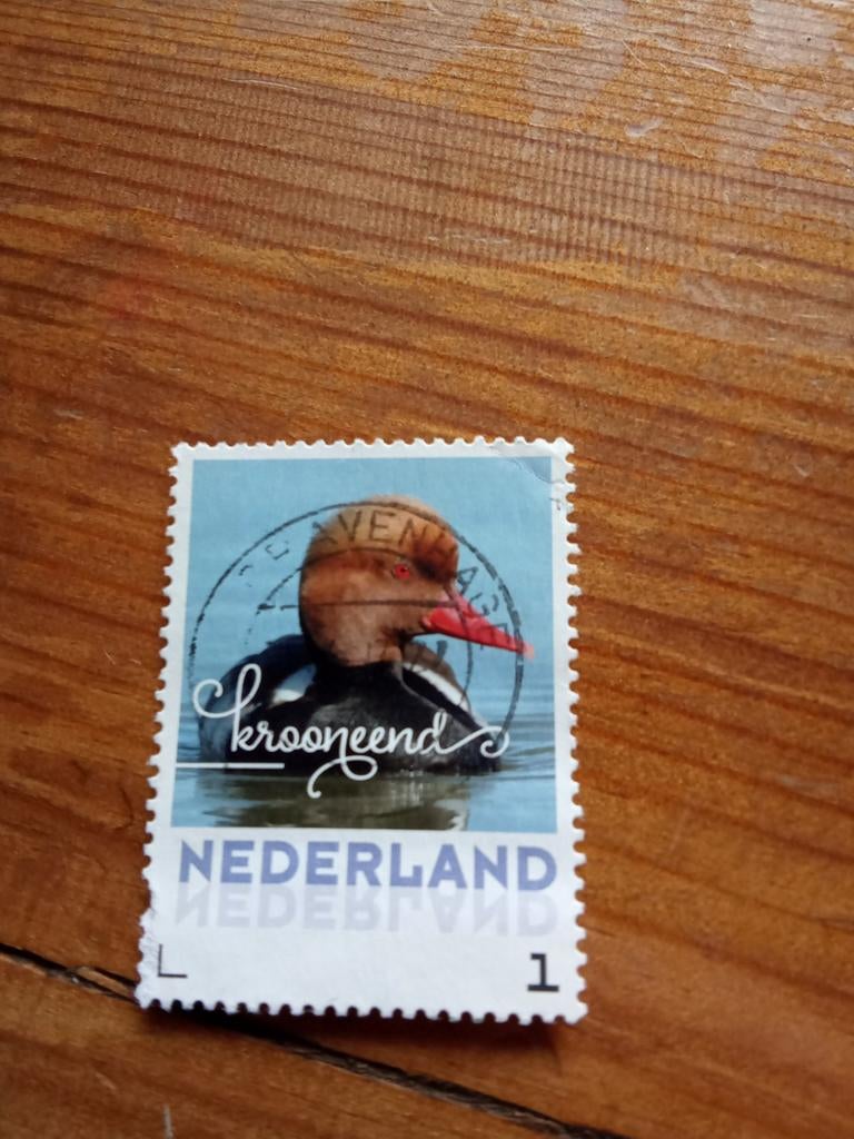 Krooneend - Gestempeld, Ophalen of Verzenden