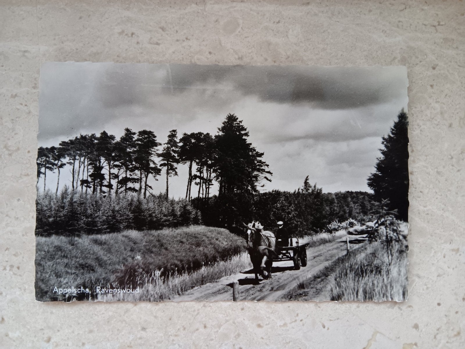 Appelsccha Ravenswoud - Paard en Wagen -, Verzenden, 1960 tot 1980, Gelopen, Friesland