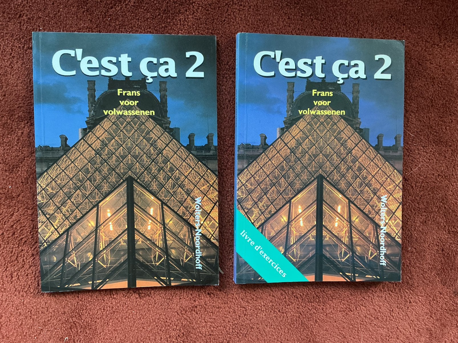 C’est Ca 2 Oefenboek + Grammaticaboek Frans voor Volwassenen, Boeken, Ophalen of Verzenden, Alpha, Niet van toepassing