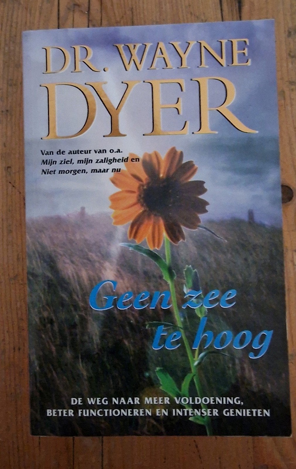 Geen zee te hoog - Dr. Wayne Dyer, Boeken, Gelezen, Achtergrond en Informatie, Spiritualiteit algemeen, Ophalen of Verzenden