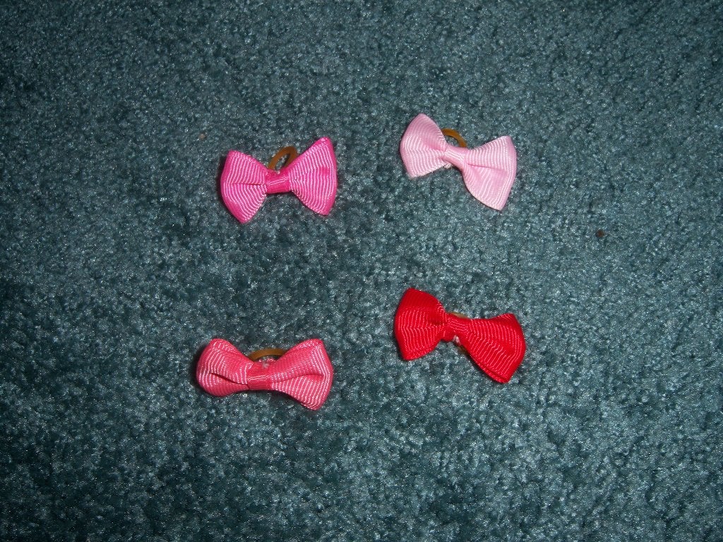 > > Mini - strikjes voor hond, kat of knaagdier < <, Ophalen of Verzenden, Nieuw