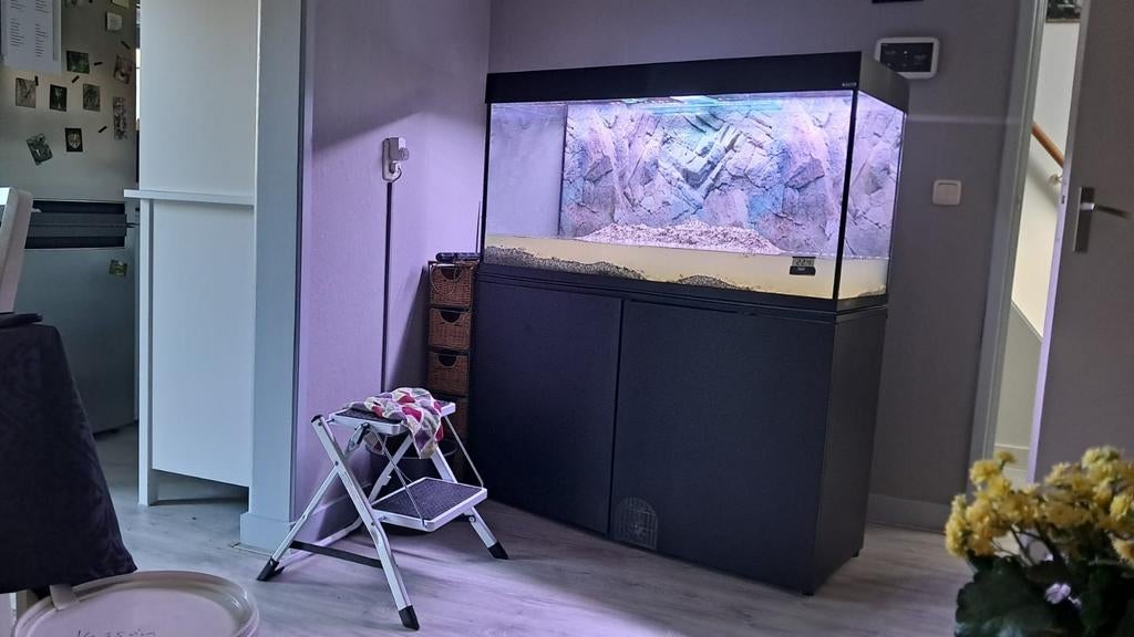 Aquarium, Vis