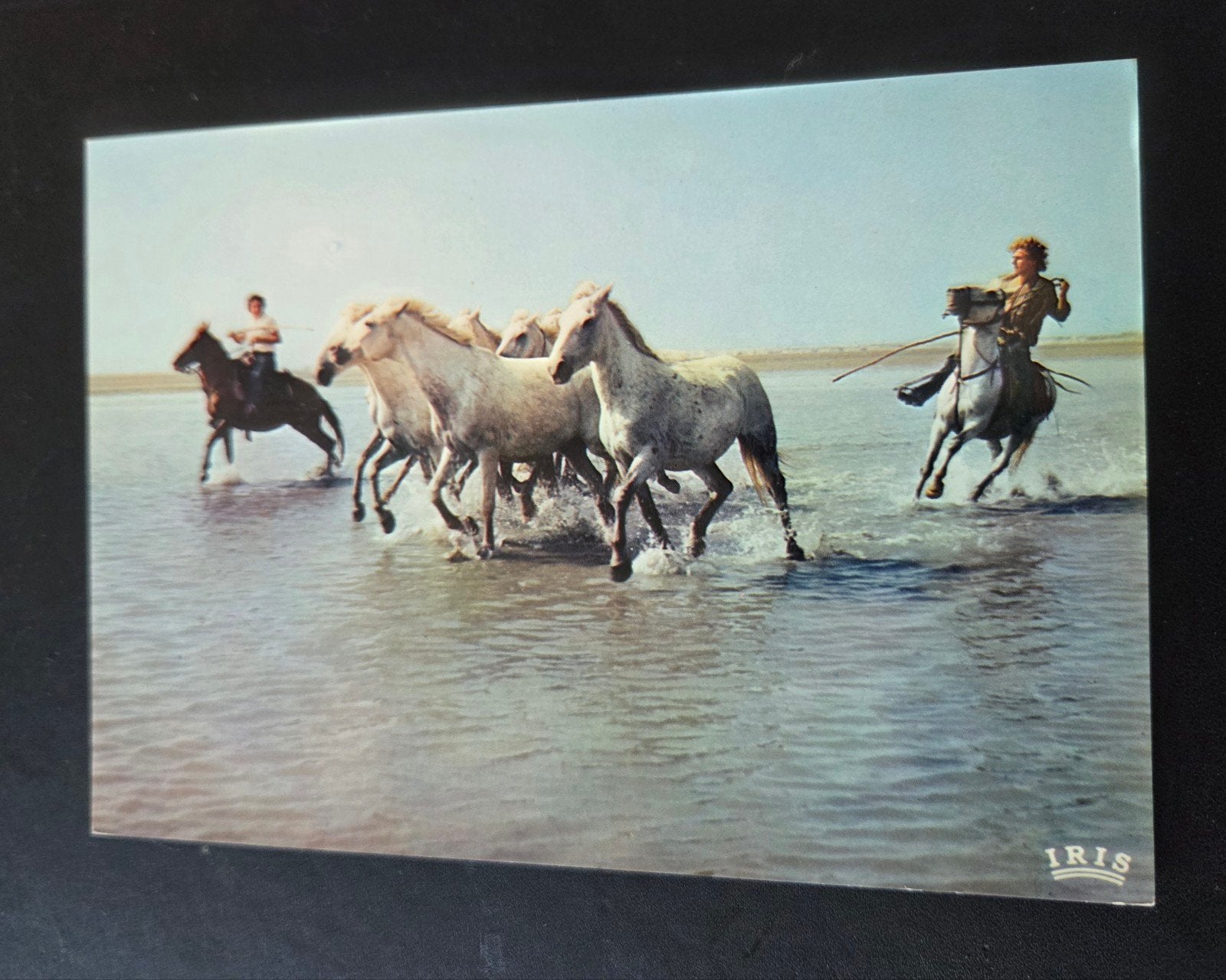 Camargue Paarden in het Water, Verzenden, 1980 tot heden, Ongelopen, Paard