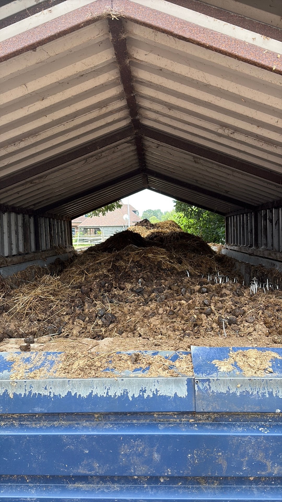 Gratis paardenmest, Tuin en Terras, Aarde en Mest, Ophalen, Mest