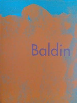 Wim van der Beek - BALDIN - de magie van het moment -, Ophalen of Verzenden, Zo goed als nieuw