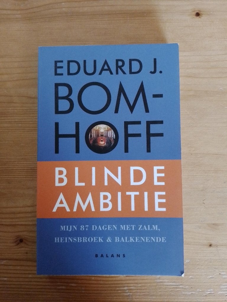 Blinde ambitie   Eduard J. Bomhoff, Gelezen, Ophalen of Verzenden, Politiek en Staatkunde, Nederland