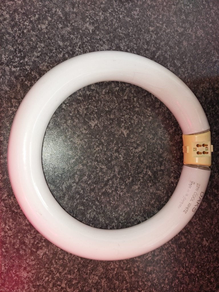 DAKS 22W Cool White TL-buis (rond), Gebruikt, Overige fittingen, Overige merken, 10 tot 30 watt